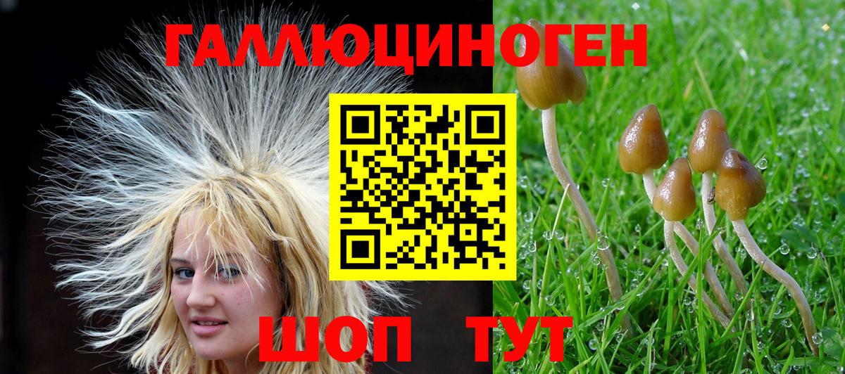 Каспийск  хочу   Псилоцибиновые грибы GOLDEN TEACHER  Вход с VPN  Галлюциногенные грибы Psilocybe 